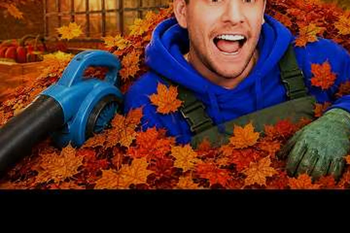 Clean all the leaves! Complete Yard Zone Maps and Access